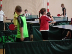 IMS - Tenis stołowy indywidualny