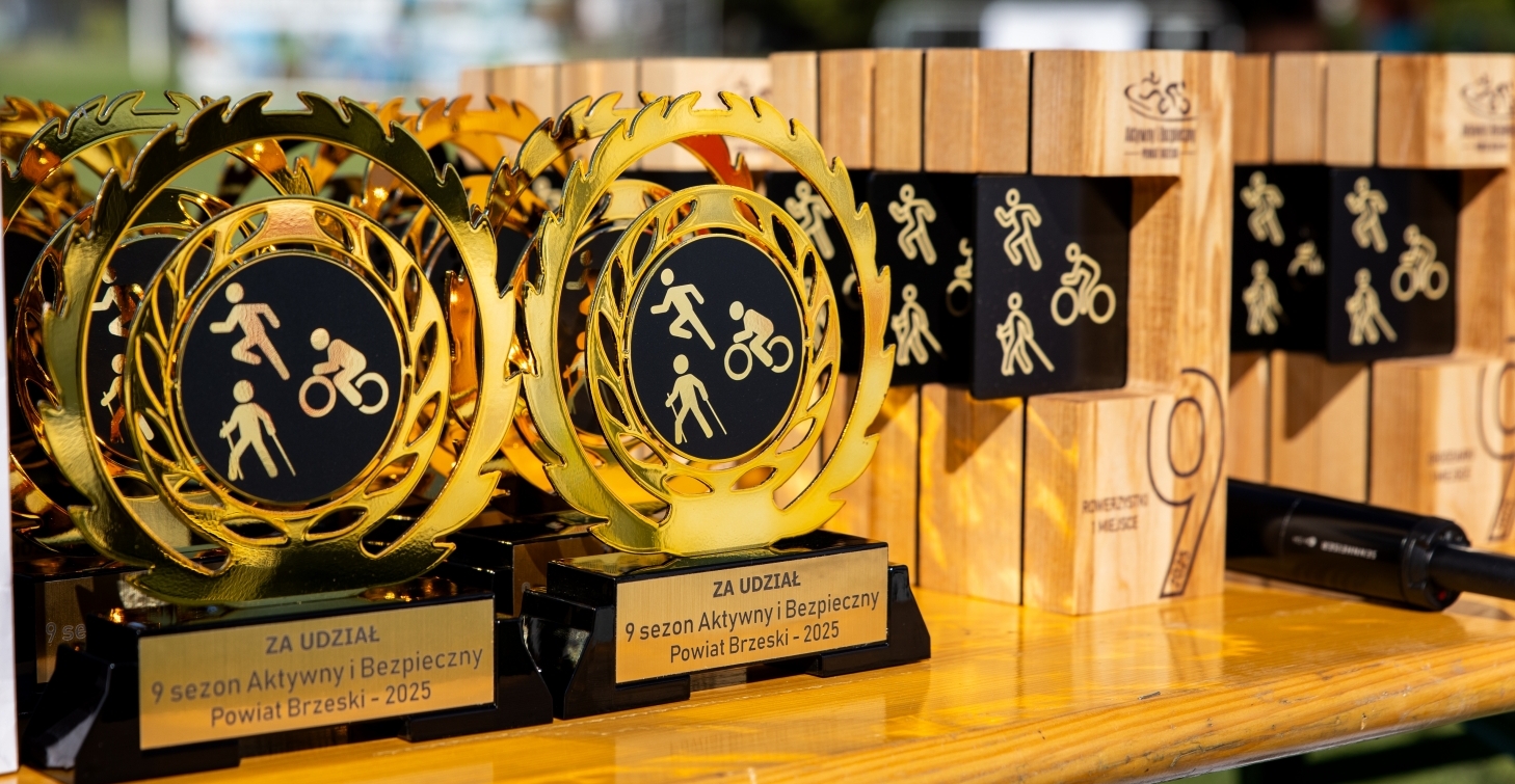 Regulaminy do pobrania